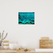 Blauwe pool van cichlids die rond het ontwerp zwem poster (Keuken)
