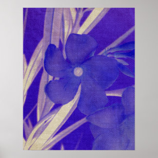 Blauwe Prints