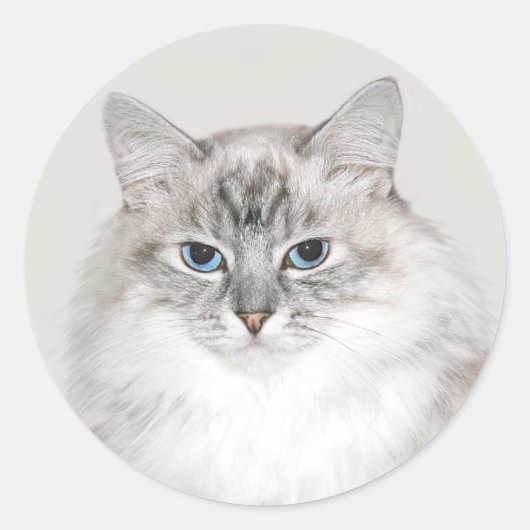 Blauwe puntkat ronde sticker (Voorkant)