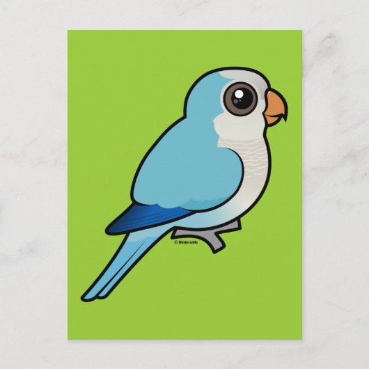 Blauwe Quaker Briefkaart (Voorkant)