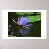 Blauwe reflecties poster (Voorkant)