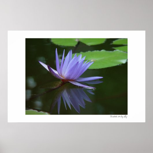 Blauwe reflecties poster (Voorkant)