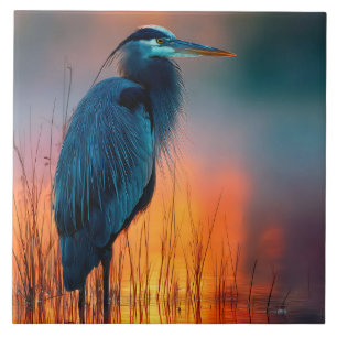 Blauwe Reiger bij Zonsopgang Tegeltje