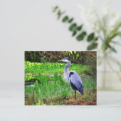 Blauwe Reiger Briefkaart (Staand voorkant)