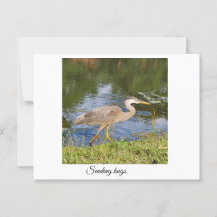 Blauwe reiger briefkaart
