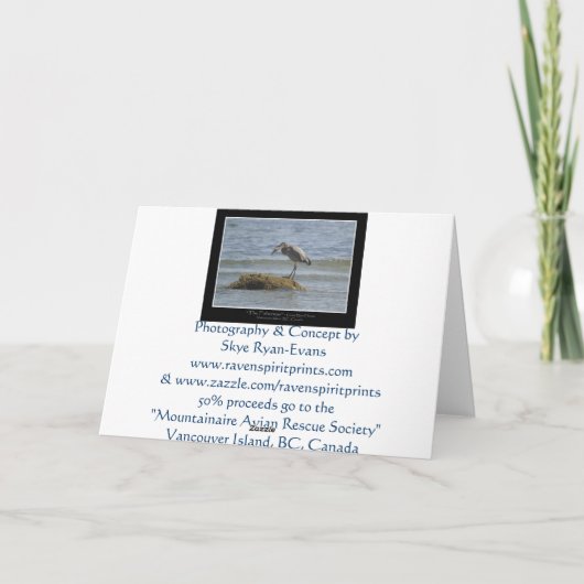 BLAUWE REIGER die een van VISSEN ~- Wenskaart ETEN Kaart (Achterkant)