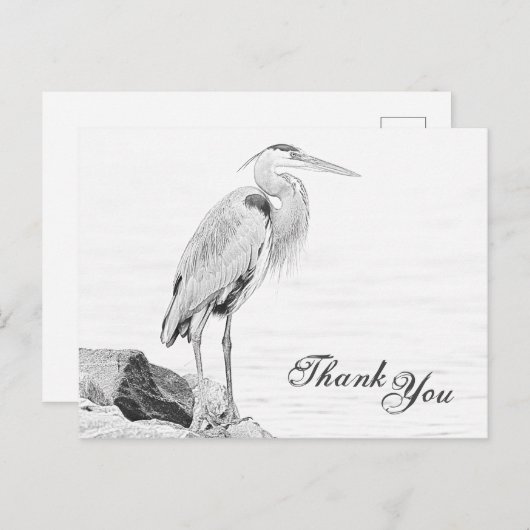 Blauwe reiger en rotsen, watervogel schets Dank u Briefkaart (Voorkant / Achterkant)