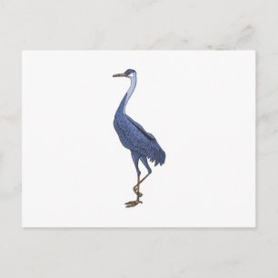 blauwe reiger vogel briefkaart