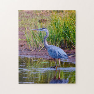 Blauwe Reiger Yellowstone. Legpuzzel