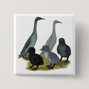 Blauwe Ren Eend Familie Vierkante Button 5,1 Cm