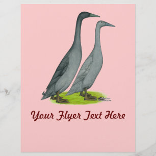 Blauwe Ren-eenden Flyer