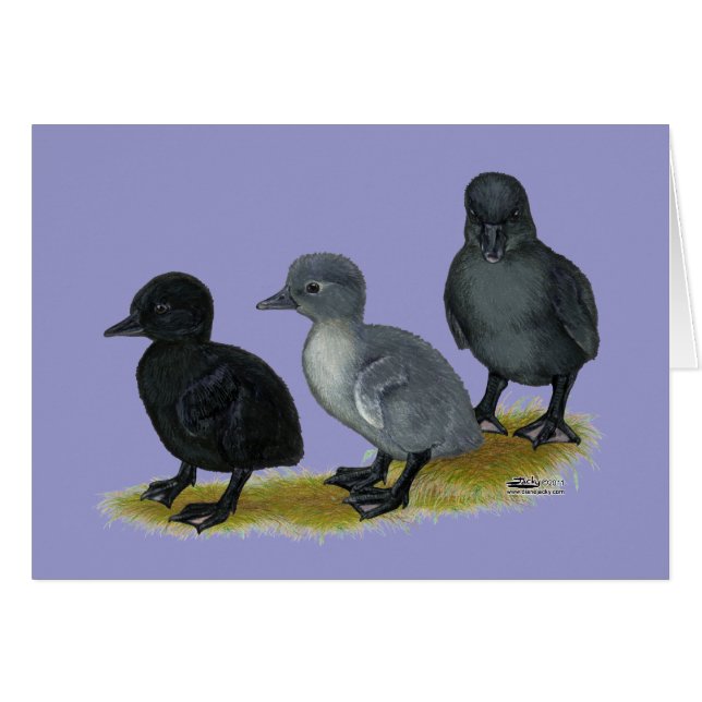 Blauwe Ren Eendjes (Voorkant Horizontaal)