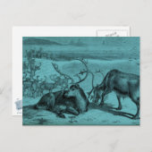 Blauwe  rendierillustratie briefkaart (Voorkant / Achterkant)