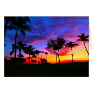 Blauwe Rode Zonnezon Exotische Hawaiian Beach Palm