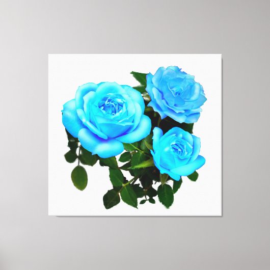 Blauwe roos blauwe bloemen canvas afdruk (Voorkant)