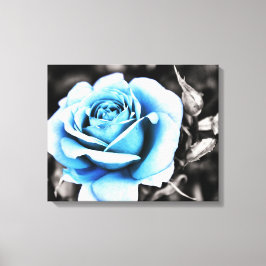 blauwe roos canvas afdruk