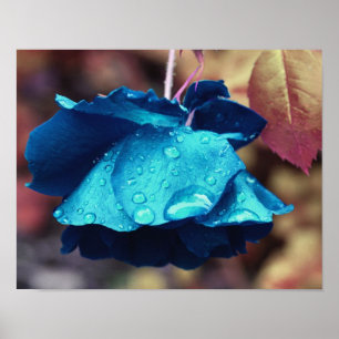 Blauwe Roos Lingering Raindrops Abstracte Vloerkun Poster