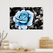 Blauwe roos poster (Keuken)
