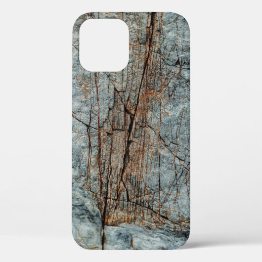Blauwe rots Case-Mate iPhone case (Achterkant)