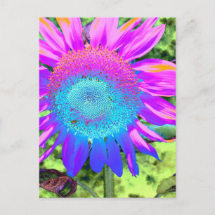 Blauwe roze funky retro zonnebloem briefkaart