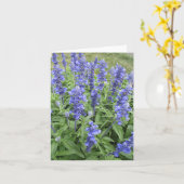 Blauwe Salvia tuin bloemen blanco briefkaart (Gele Bloem)