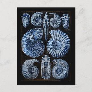Blauwe schalen briefkaart