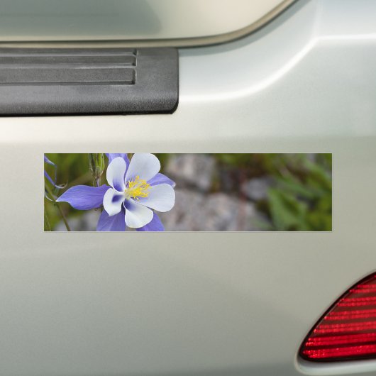 Blauwe schoonheid bumpersticker (Op auto)