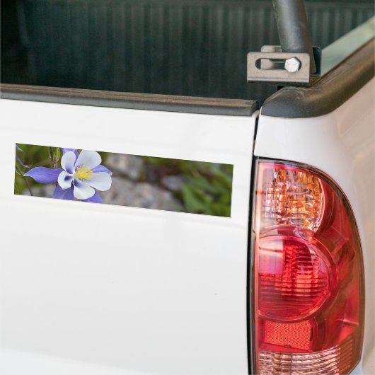 Blauwe schoonheid bumpersticker (Op Truck)