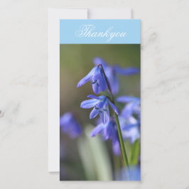 Blauwe Scilla siberica (Hout Squill) Bloemen Bedankkaart