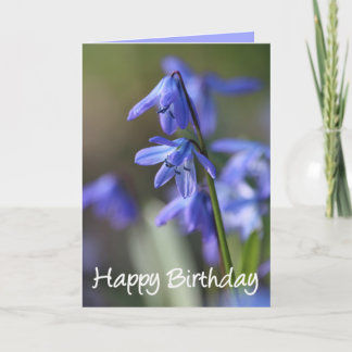 Blauwe Scilla siberica (Hout Squill) Bloemen Kaart