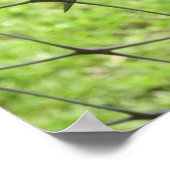 Blauwe skimmer poster (Hoek)