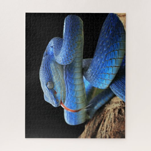 Blauwe slang legpuzzel (Verticaal)
