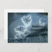 Blauwe sneeuw briefkaart (Voorkant / Achterkant)