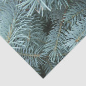 Blauwe sparren grijze winter tissuepapier (Detail)