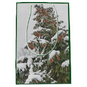 BLAUWE SPRUCE MET SNEEUW EN PIJNCONS MEDIUM CADEAUZAKJE (Voorkant)