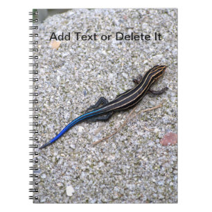 Blauwe Staart Skink notitieboek