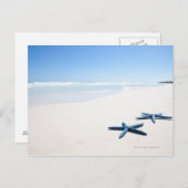 Blauwe staartvis briefkaart (Voorkant / Achterkant)