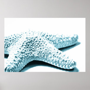 Blauwe staartvis poster