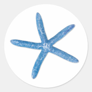 Blauwe staartvis ronde sticker
