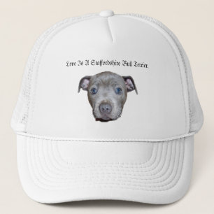 Blauwe Staffordshire Bull Terrier Puppy Gezicht Li Trucker Pet