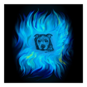 Blauwe Staffy Puppy Perfect Poster