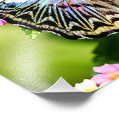 Blauwe stekelvlieg foto afdruk (Hoek)