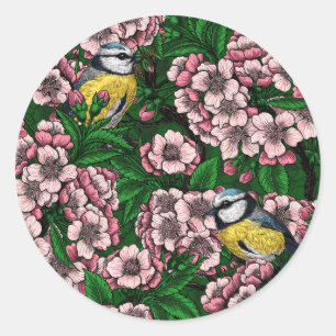Blauwe stietvogels in de bloeiende kersenboom op g ronde sticker