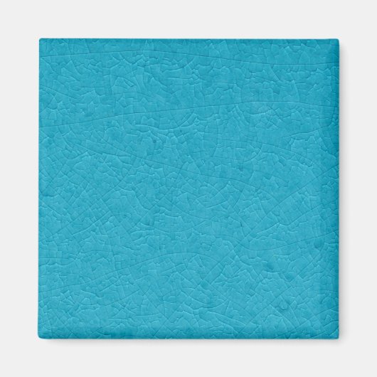 BLAUWE STONE MAGNEET (Voorkant)