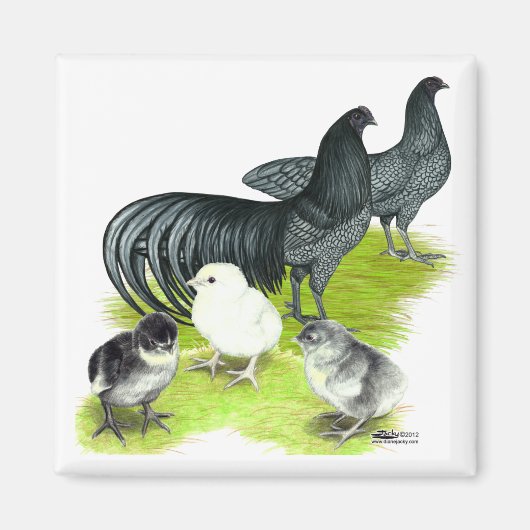 Blauwe Sumatra Familie Magneet (Voorkant)