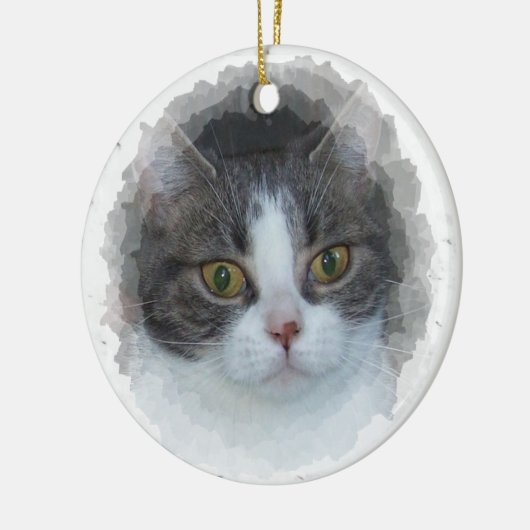 Blauwe tabby en wit keramisch ornament (Links)