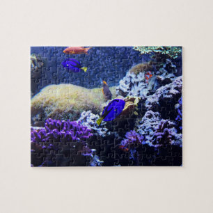 Blauwe tang visschilder Puzzle Legpuzzel