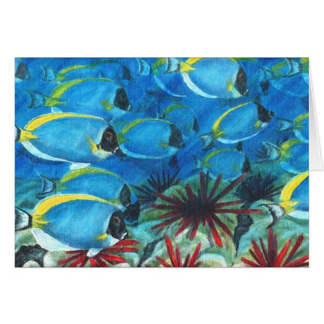 Blauwe tangs in poeder (Voorkant Horizontaal)