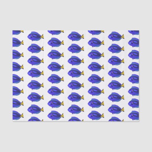 Blauwe tangvis cartoon illustratie tissuepapier (Voorkant)