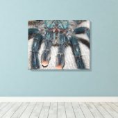 blauwe tarantula canvas afdruk (Insitu (Houten vloer))